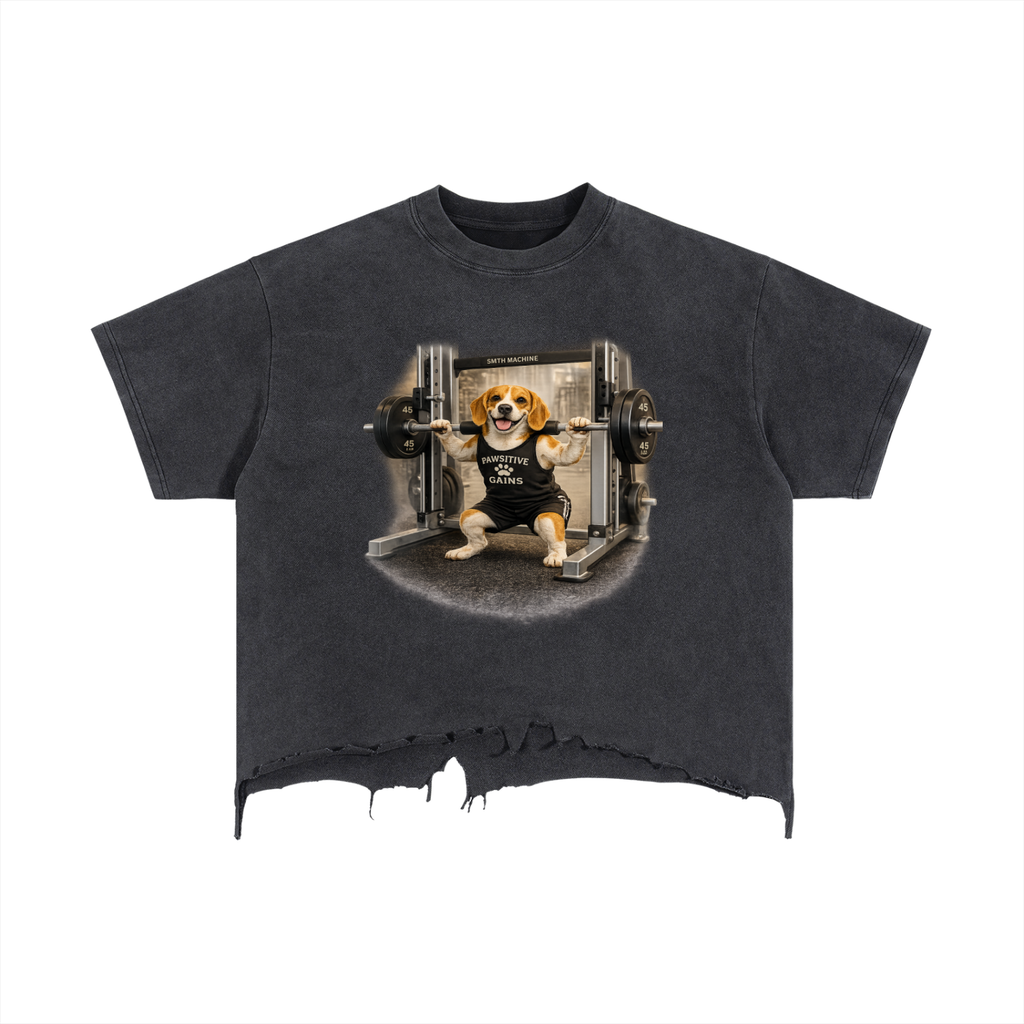 Vintage Wash Boxy Distressed Hem T-Shirt Beagle Doing Squats