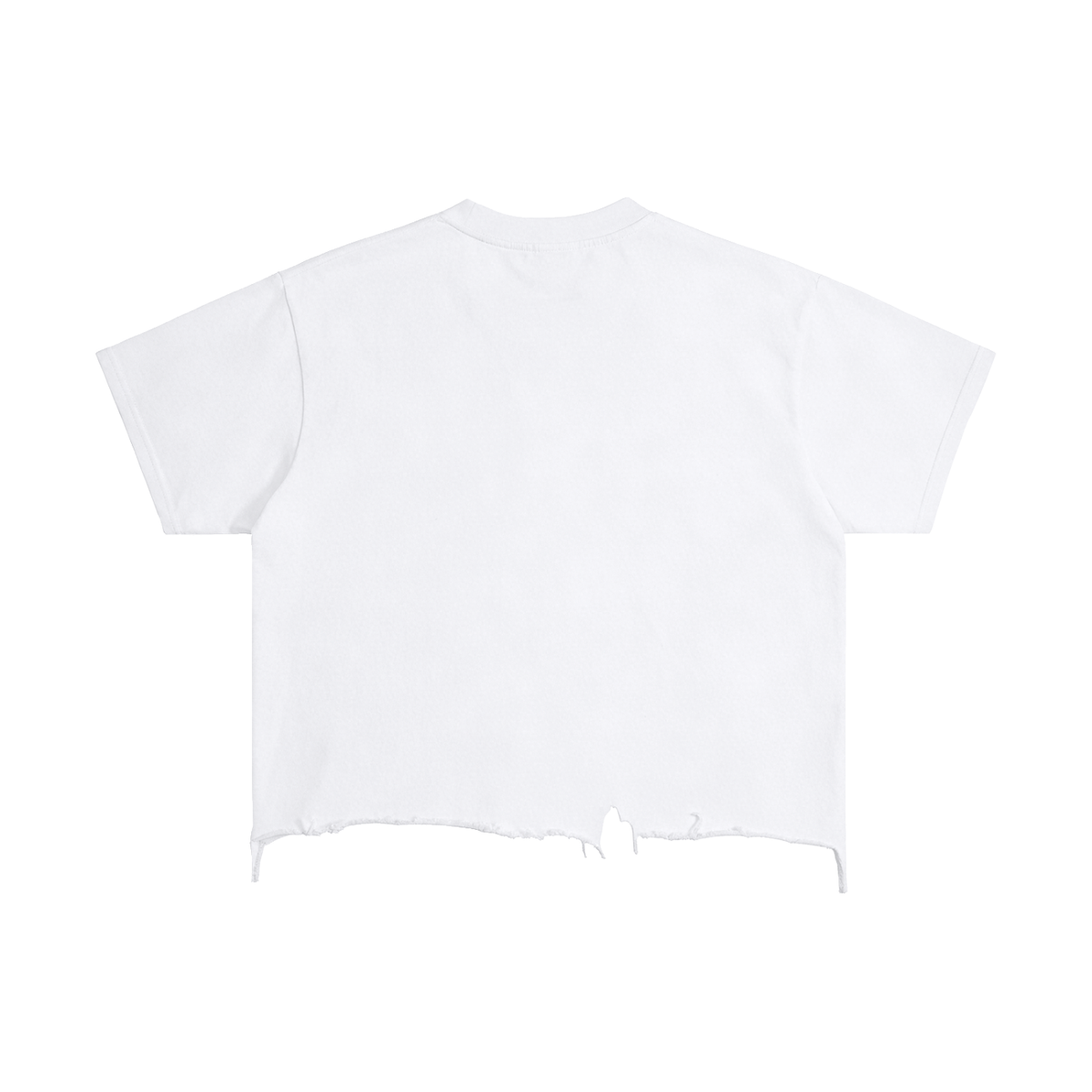 Calico Knockout – Pawsitive Gains Boxy Ragged Hem Tee