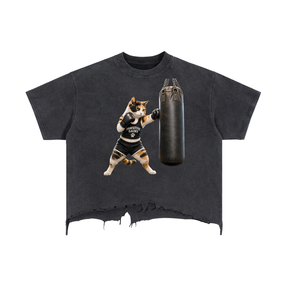 Calico Knockout – Pawsitive Gains Boxy Ragged Hem Tee